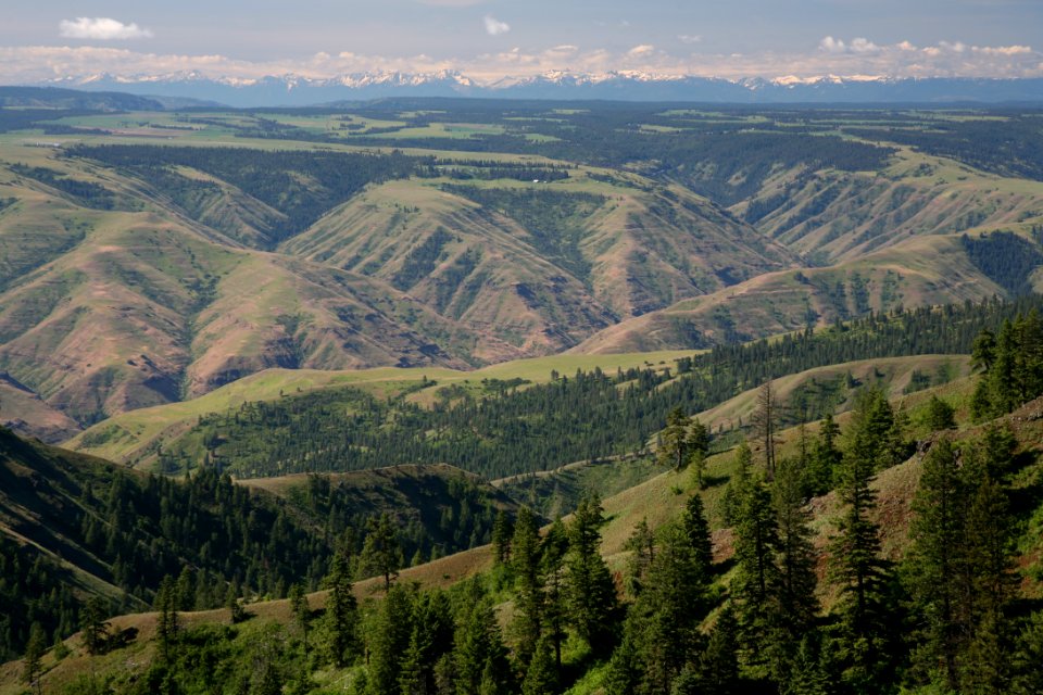 Grande Ronde River, Umatilla National Forest