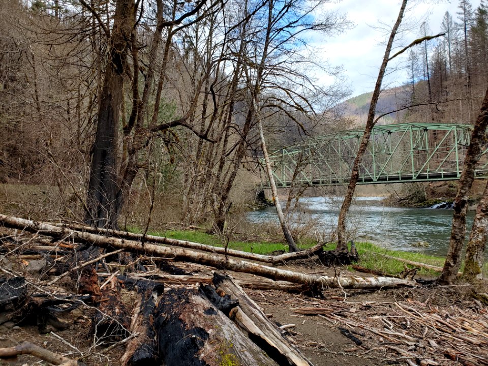 Hazard trees at Sandstone Boat Access Site along the Clackamas River, Mt. Hood National Forest
