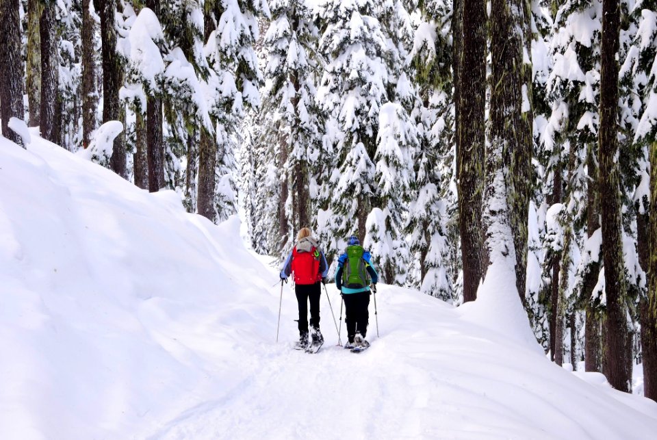 Mt. Hood Meadows on the Mt. Hood National Forest