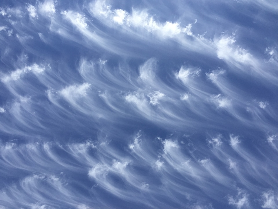 Swept plumes brushed