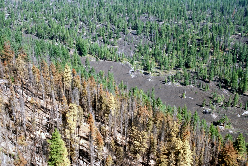 348 Deschutes National Forest, Jefferson Fire