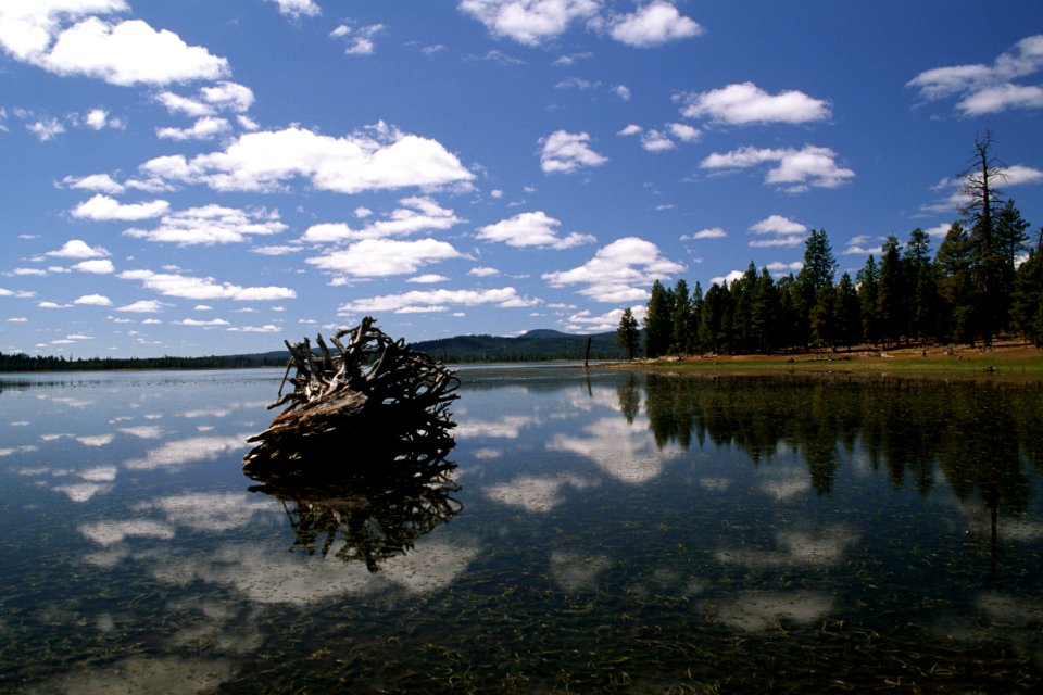Fremont Winema National Forest, Thompson Reservoir