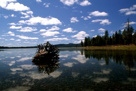 Fremont Winema National Forest, Thompson Reservoir photo