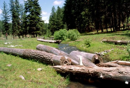 Ochoco National Forest, Mill Creek stream restoration-3.jpg