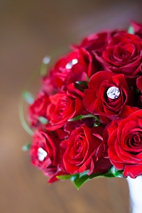 Bouquet flowers zircon