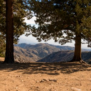 Coon Creek Cabin Recreational Area