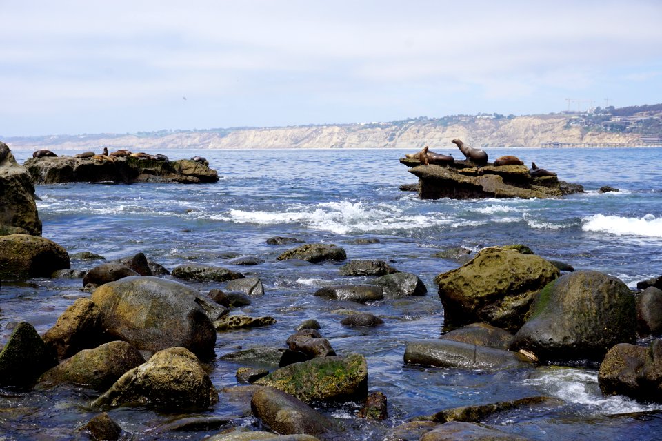 La Jolla Cove, CA (Unedited)