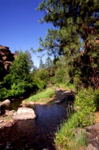 Lower Wychus Creek, Ochoco National Forest.jpg photo