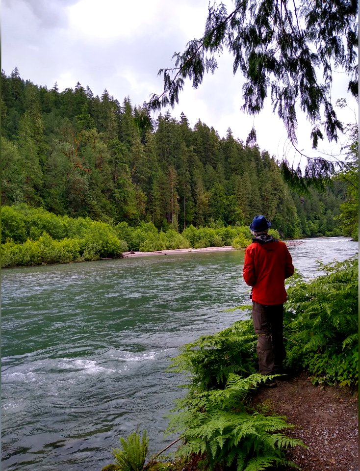Hiker at Sauk River viewpoint on Old Sauk Trail, Mt. Baker-Snoqualmie National Forest. Photo taken by Anne Vassar June 16, 2020