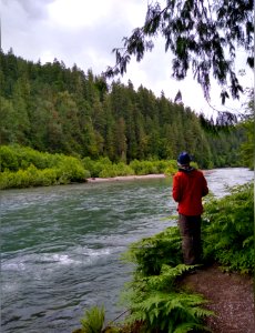 Hiker at Sauk River viewpoint on Old Sauk Trail, Mt. Baker-Snoqualmie National Forest. Photo taken by Anne Vassar June 16, 2020
