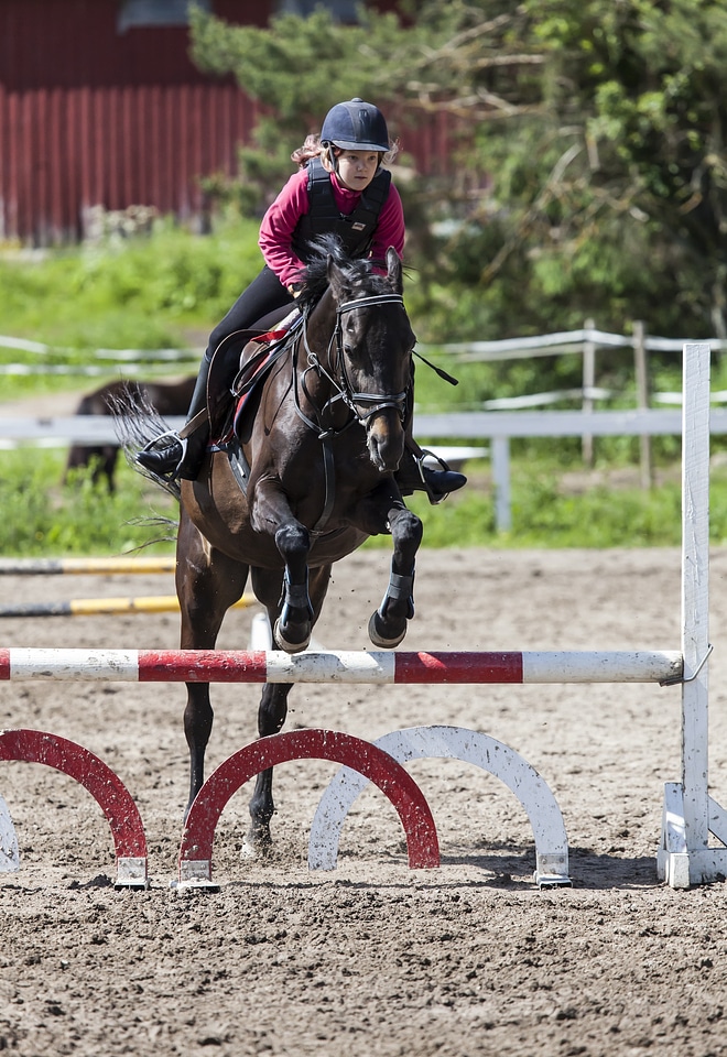 Show jumping horse girl