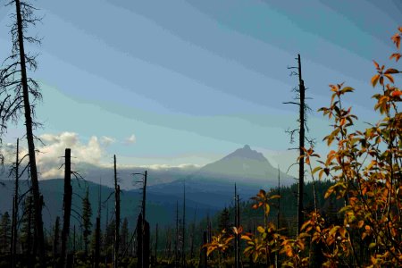 Smoky skies and burned trees, Lionshead Fire, 9-20-2020