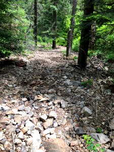 North Fork Walla Walla Trail (South Fork Walla Walla River)