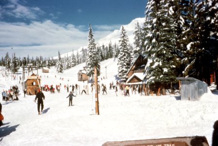 Mt Hood NF Summit ski area photo