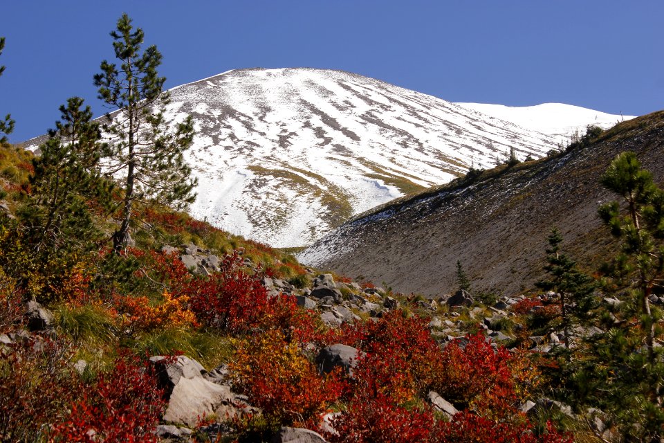 Autumn colors at Sheep Canyon, Mount St Helens National Volcanic Monument