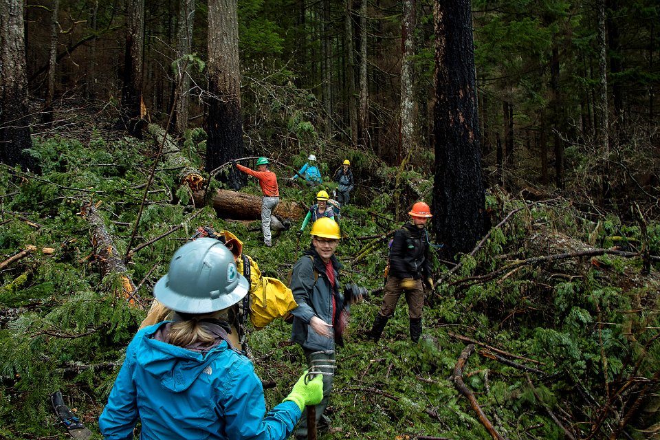 Volunteers clearing brush