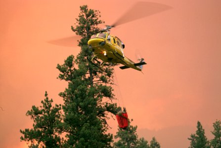 267 Ochoco National Forest, Hash Rock Fire, retardent drop photo