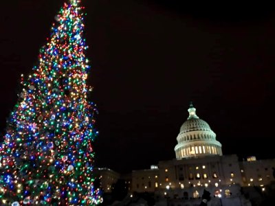 A lit 2018 Capitol Chrismas Tree, a noble fir from Willamette National Forest