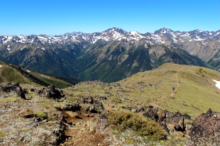 Looking back down the ridge to the west from Buckhorn Mountain, Buckhorn Wilderness on the Olympic National Forest