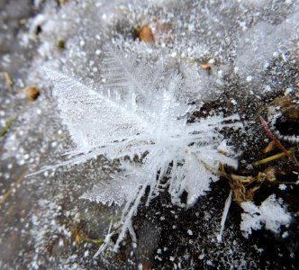 Ice crystals on stream