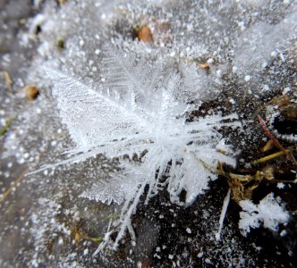 Ice crystals on stream photo