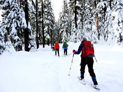 Mt. Hood Meadows on the Mt. Hood National Forest
