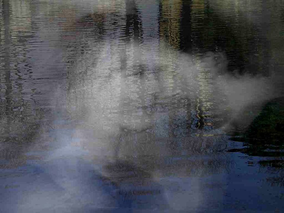 amore riflesso nell'acqua