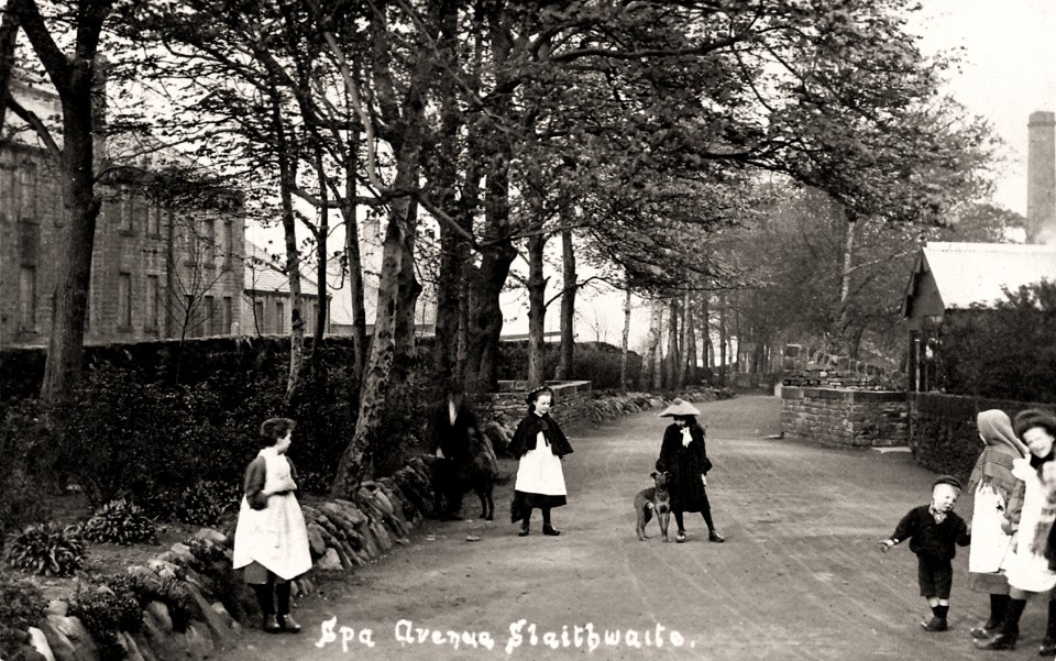 photograph of Spa Avenue, Slaithwaite, taken circa 1900