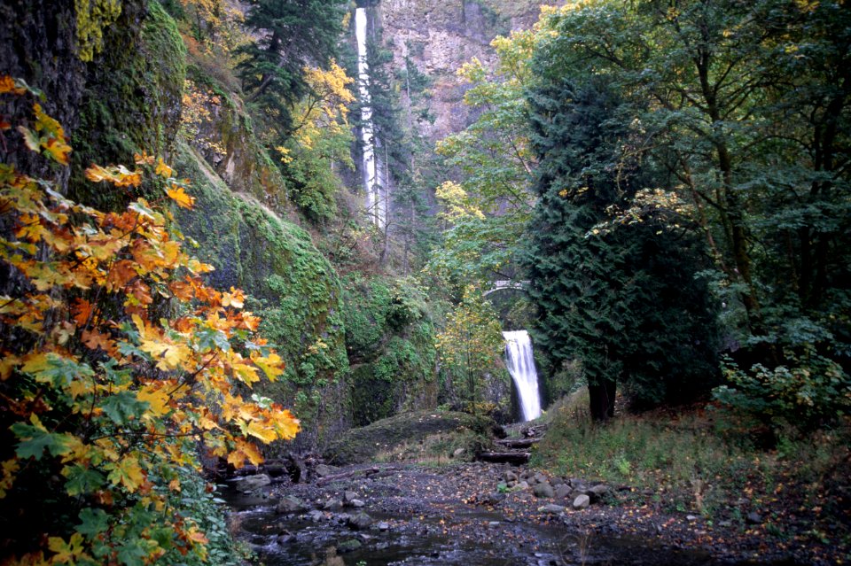 Columbia River Gorge NSA, Multnomah Falls, fall color.jpg