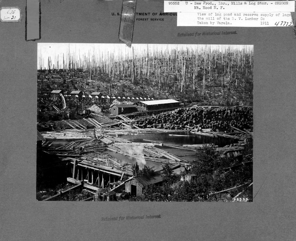 Mill & Log Pond of the B.V. Lumber Company at Palmer, Oregon NF, OR 1911 photo