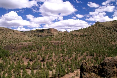 Alder Springs, Crooked River National Grassland, Ochoco National Forest.jpg photo