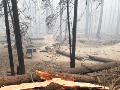 Sunstrip Campground after Riverside Fire, Mt. Hood National Forest