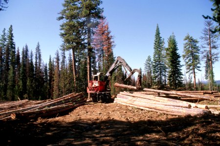 Deschutes National Forest, timber salvage logging-2.jpg