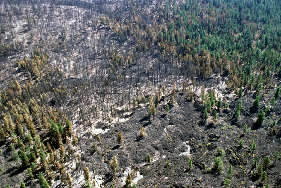 347 Deschutes National Forest, Jefferson Fire