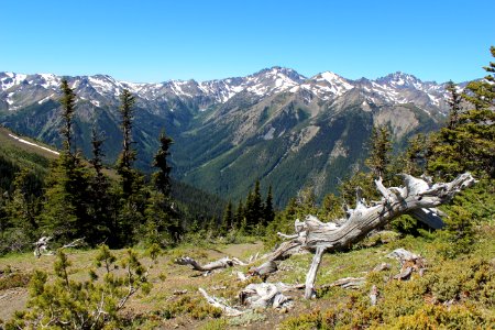 Olympic Mountains from above Marmot Pass, Buckhorn Wilderness on the Olympic National Forest photo