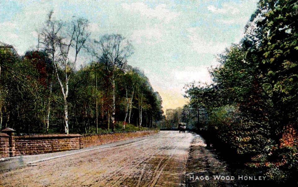 Hagg Wood, Honley