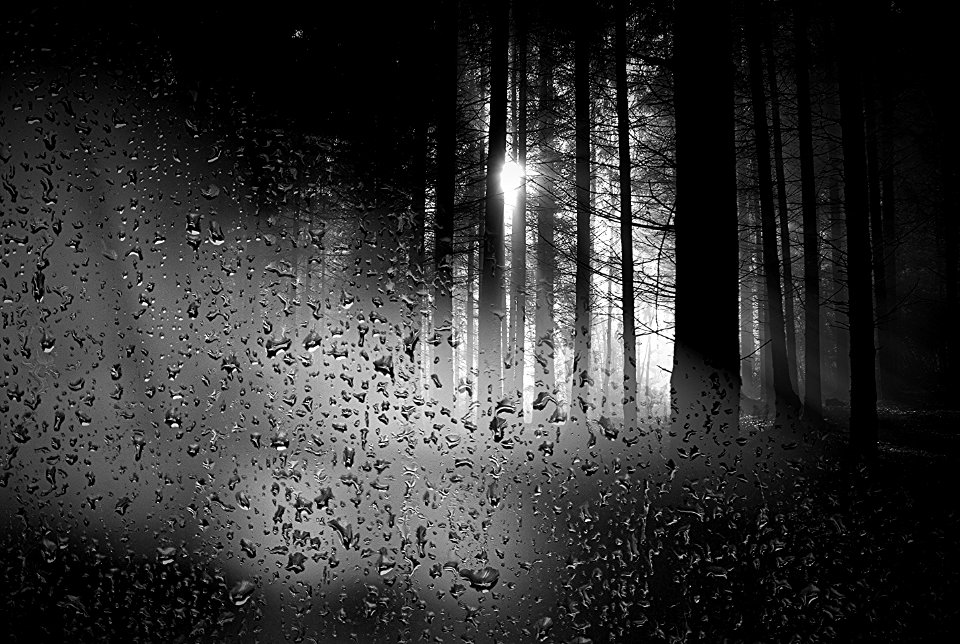 the rays of the sun behind the wet glass