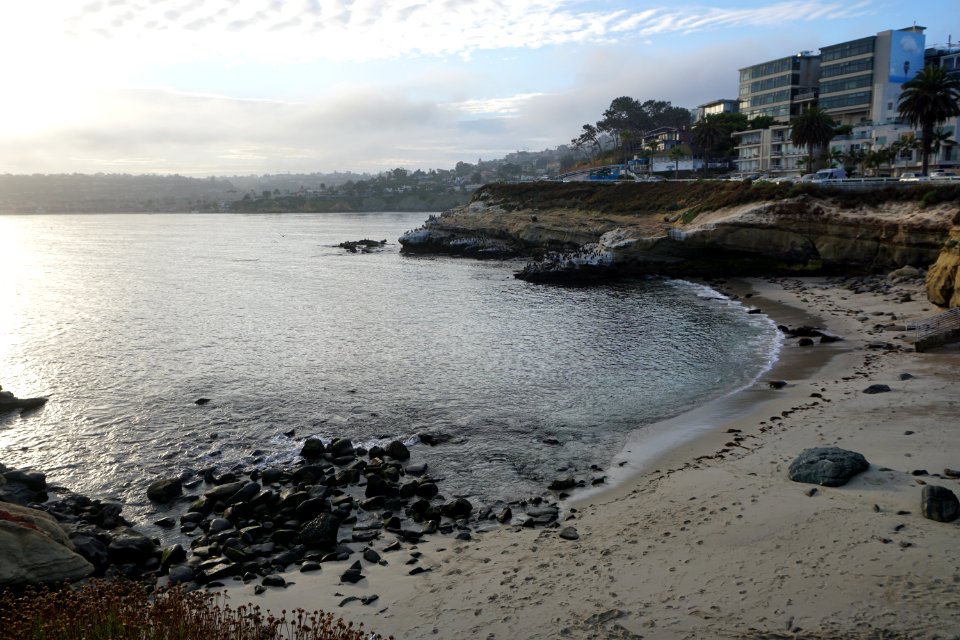 La Jolla Cove, CA (Unedited) photo