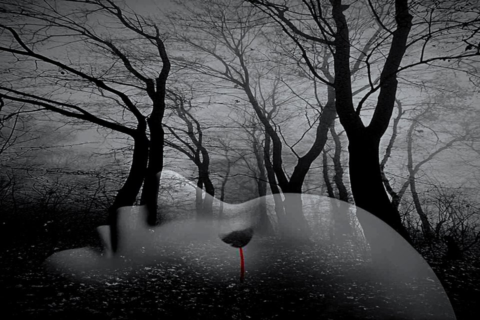 la lacrima degli ..alberi