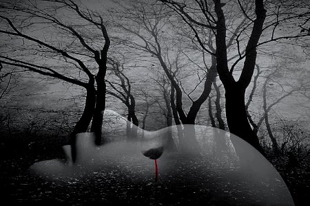 la lacrima degli ..alberi
