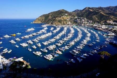 Catalina Island, CA (Unedited)