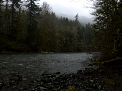 A wet December day along the Sol Duc River at Klahowya Campground, Olympic National Forest.