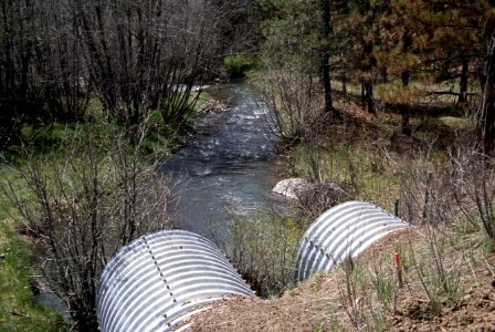 Stream restoration Mill Creek, Malheur National Forest photo