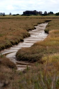 Pegwell Bay
