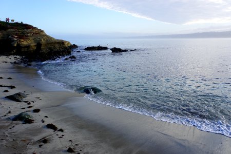 La Jolla Cove, CA (Unedited) photo