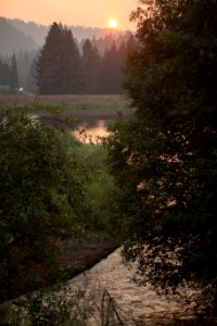 North Umpqua River shrouded in smoke, Umpqua National Forest