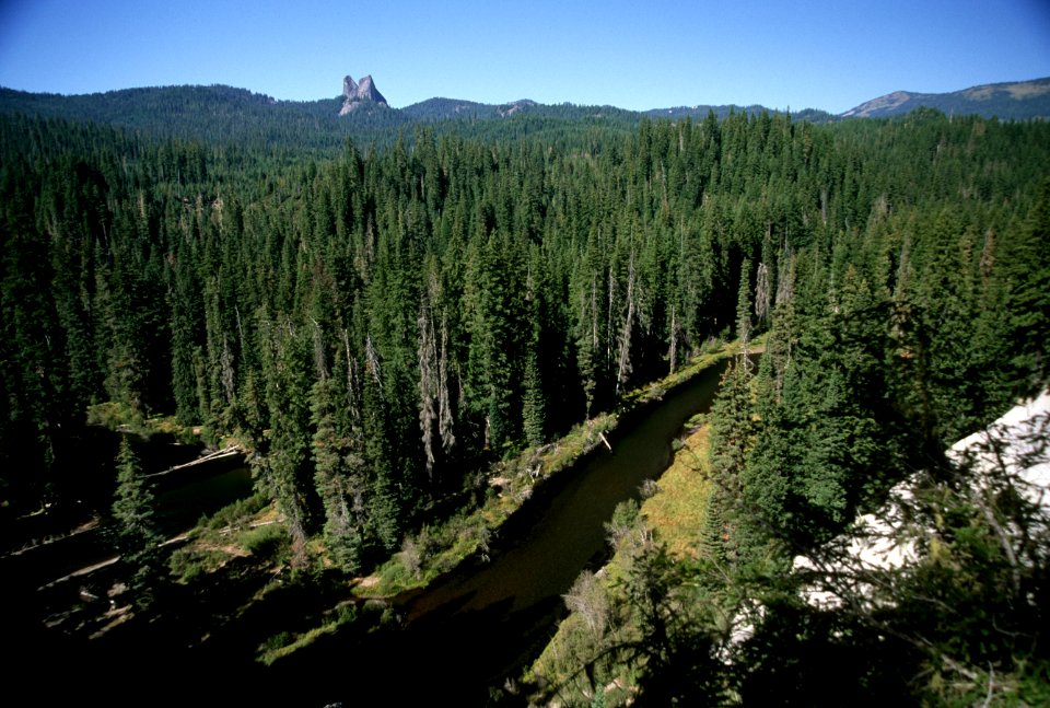 Rabbit Ears and Stream, Rogue River-Siskiyou National Forest.jpg