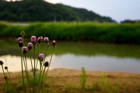 DSC02238