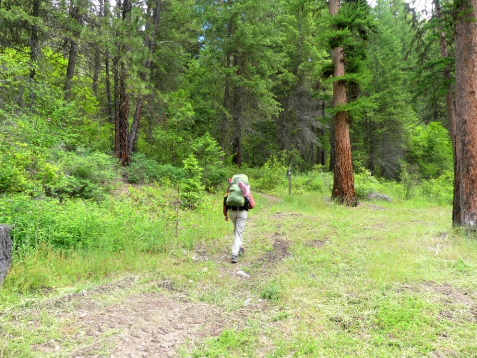 13 Mile Trail June 2020 backpacking hiker by Sharleen Puckett