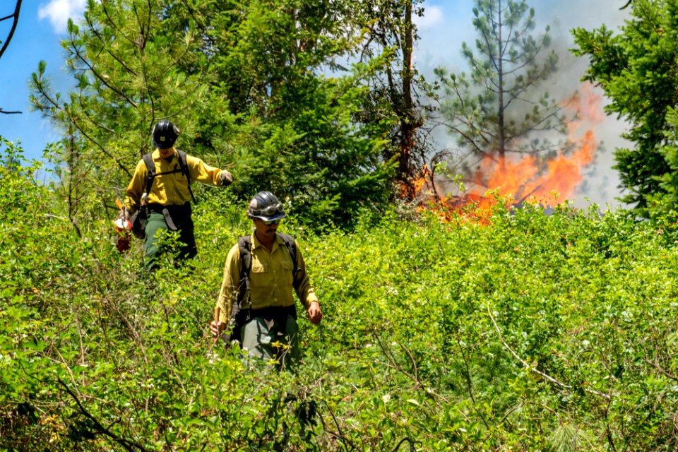 20190625-prescribed-fire-tller-193jpg 48146849446 o